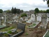image number Low J 04623